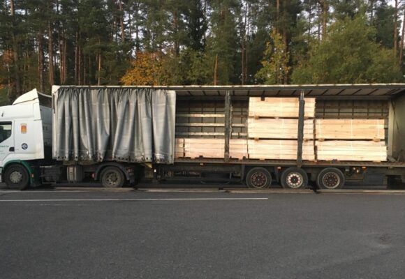 Děravé sankce. Rusko a Bělorusko dovážejí do EU dřevo i přes obchodní omezení
