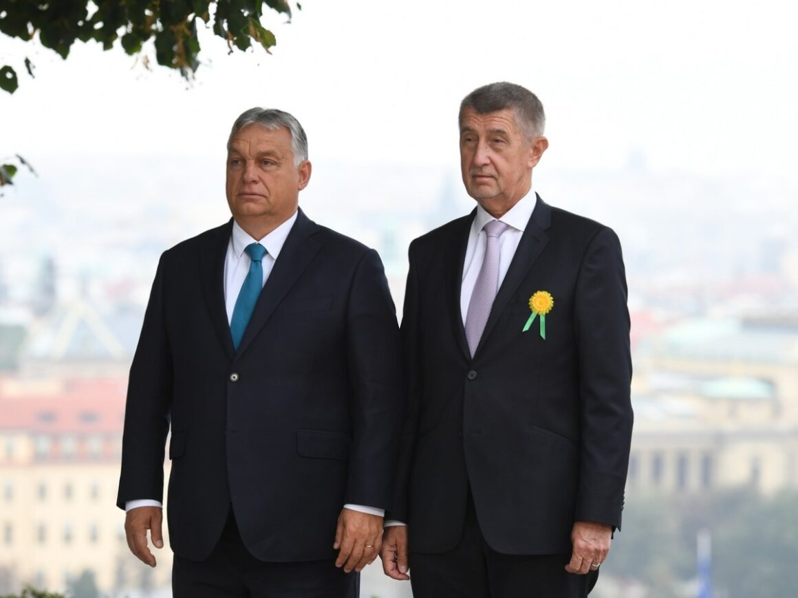 Orban-Babis Babiš, Orbán a miliardový byznys Agrofertu v Maďarsku